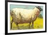 Black-Faced Sheep-null-Framed Art Print