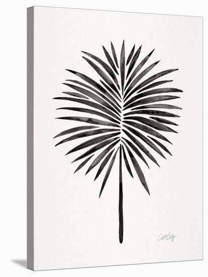 Black Fan Palm-Cat Coquillette-Stretched Canvas