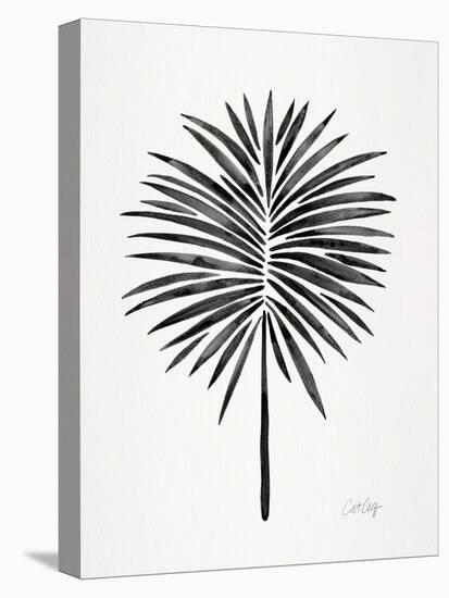 Black Fan Palm-Cat Coquillette-Stretched Canvas