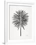 Black Fan Palm-Cat Coquillette-Framed Art Print