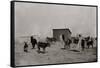 Black Farmers In Oklahoma-George F. Gibbs-Framed Stretched Canvas