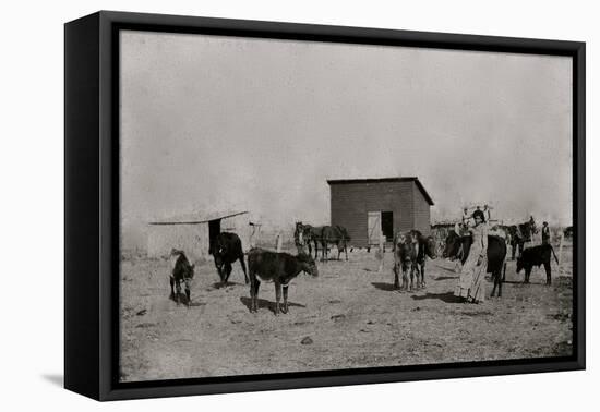 Black Farmers In Oklahoma-George F. Gibbs-Framed Stretched Canvas