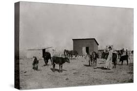 Black Farmers In Oklahoma-George F. Gibbs-Stretched Canvas