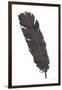 Black Feather V-Chris Paschke-Framed Art Print