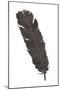 Black Feather V-Chris Paschke-Mounted Art Print