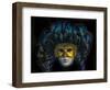 Black feathers Venetian mask, Venice, Italy. Used since the 1200's for Carnival-William Perry-Framed Photographic Print