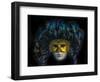 Black feathers Venetian mask, Venice, Italy. Used since the 1200's for Carnival-William Perry-Framed Photographic Print