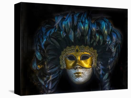 Black feathers Venetian mask, Venice, Italy. Used since the 1200's for Carnival-William Perry-Stretched Canvas