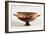 Black Figured Kylix of Ritual Ploughing, Possibly a Scene from the "Attic Thesmophoria"-null-Framed Giclee Print