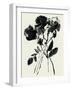 Black Flora-Maya Woods-Framed Art Print