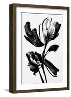 Black Flower-null-Framed Giclee Print