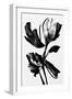 Black Flower-null-Framed Giclee Print