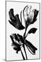 Black Flower-null-Mounted Giclee Print