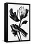 Black Flower-null-Framed Stretched Canvas