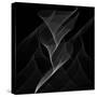 Black Flux - Flow Motion-Dominique Vari-Stretched Canvas