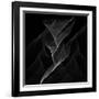 Black Flux - Flow Motion-Dominique Vari-Framed Art Print