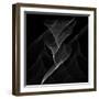 Black Flux - Flow Motion-Dominique Vari-Framed Art Print