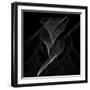 Black Flux - Flow Motion-Dominique Vari-Framed Art Print