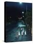 Black Footed Jackass Penguins Walking Along Road at Night, Boulders, South Africa-Inaki Relanzon-Stretched Canvas