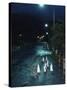 Black Footed Jackass Penguins Walking Along Road at Night, Boulders, South Africa-Inaki Relanzon-Stretched Canvas