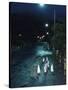 Black Footed Jackass Penguins Walking Along Road at Night, Boulders, South Africa-Inaki Relanzon-Stretched Canvas