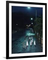 Black Footed Jackass Penguins Walking Along Road at Night, Boulders, South Africa-Inaki Relanzon-Framed Premium Photographic Print