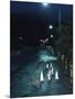 Black Footed Jackass Penguins Walking Along Road at Night, Boulders, South Africa-Inaki Relanzon-Mounted Premium Photographic Print