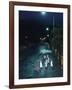 Black Footed Jackass Penguins Walking Along Road at Night, Boulders, South Africa-Inaki Relanzon-Framed Photographic Print