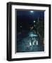 Black Footed Jackass Penguins Walking Along Road at Night, Boulders, South Africa-Inaki Relanzon-Framed Photographic Print