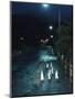 Black Footed Jackass Penguins Walking Along Road at Night, Boulders, South Africa-Inaki Relanzon-Mounted Photographic Print