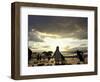 Black-Footed Penguins on the Beach, South Africa-Stuart Westmoreland-Framed Photographic Print