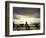 Black-Footed Penguins on the Beach, South Africa-Stuart Westmoreland-Framed Photographic Print