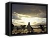Black-Footed Penguins on the Beach, South Africa-Stuart Westmoreland-Framed Stretched Canvas