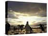 Black-Footed Penguins on the Beach, South Africa-Stuart Westmoreland-Stretched Canvas