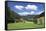 Black Forest House, Gutachtal Valley, Black Forest, Baden Wurttemberg, Germany, Europe-Markus Lange-Framed Stretched Canvas