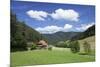 Black Forest House, Gutachtal Valley, Black Forest, Baden Wurttemberg, Germany, Europe-Markus Lange-Mounted Photographic Print