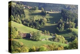 Black Forest House-Markus-Stretched Canvas