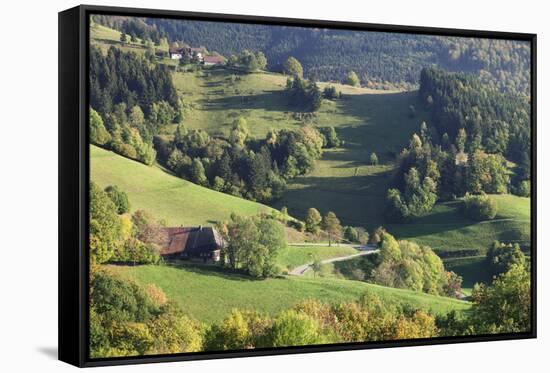 Black Forest House-Markus-Framed Stretched Canvas