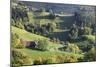 Black Forest House-Markus-Mounted Photographic Print