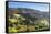 Black Forest House-Markus-Framed Stretched Canvas