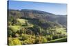 Black Forest House-Markus-Stretched Canvas