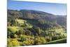 Black Forest House-Markus-Mounted Photographic Print