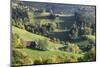 Black Forest House-Markus-Mounted Photographic Print