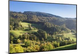 Black Forest House-Markus-Mounted Photographic Print