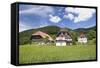 Black Forest Houses, Gutachtal Valley, Black Forest, Baden Wurttemberg, Germany, Europe-Markus Lange-Framed Stretched Canvas