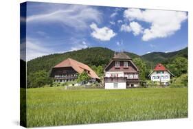 Black Forest Houses, Gutachtal Valley, Black Forest, Baden Wurttemberg, Germany, Europe-Markus Lange-Stretched Canvas