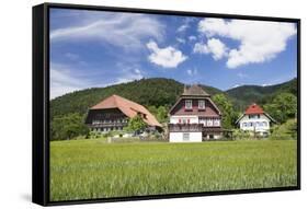 Black Forest Houses, Gutachtal Valley, Black Forest, Baden Wurttemberg, Germany, Europe-Markus Lange-Framed Stretched Canvas