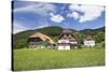 Black Forest Houses, Gutachtal Valley, Black Forest, Baden Wurttemberg, Germany, Europe-Markus Lange-Stretched Canvas