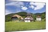 Black Forest Houses, Gutachtal Valley, Black Forest, Baden Wurttemberg, Germany, Europe-Markus Lange-Mounted Photographic Print