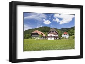 Black Forest Houses, Gutachtal Valley, Black Forest, Baden Wurttemberg, Germany, Europe-Markus Lange-Framed Photographic Print